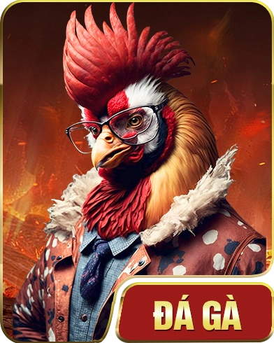 đá gà xoso66